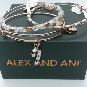 Alex and Ani Candy Cane Theme Set